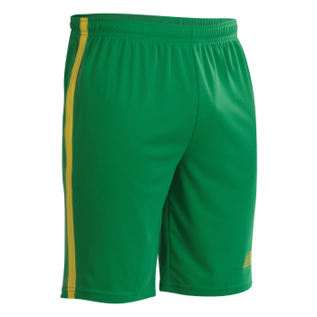 Vega Shorts Green/Yellow